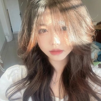 美人追
